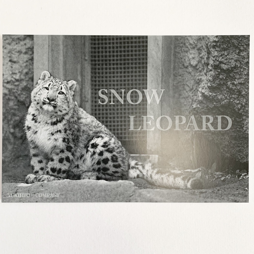 【2/2新作】フォトカード第2弾