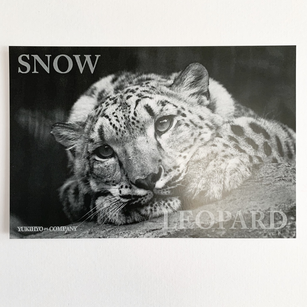 【2/2新作】フォトカード第2弾