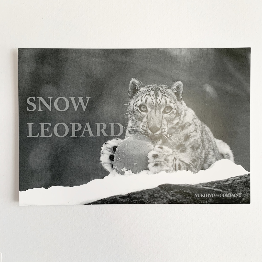 【2/2新作】フォトカード第2弾