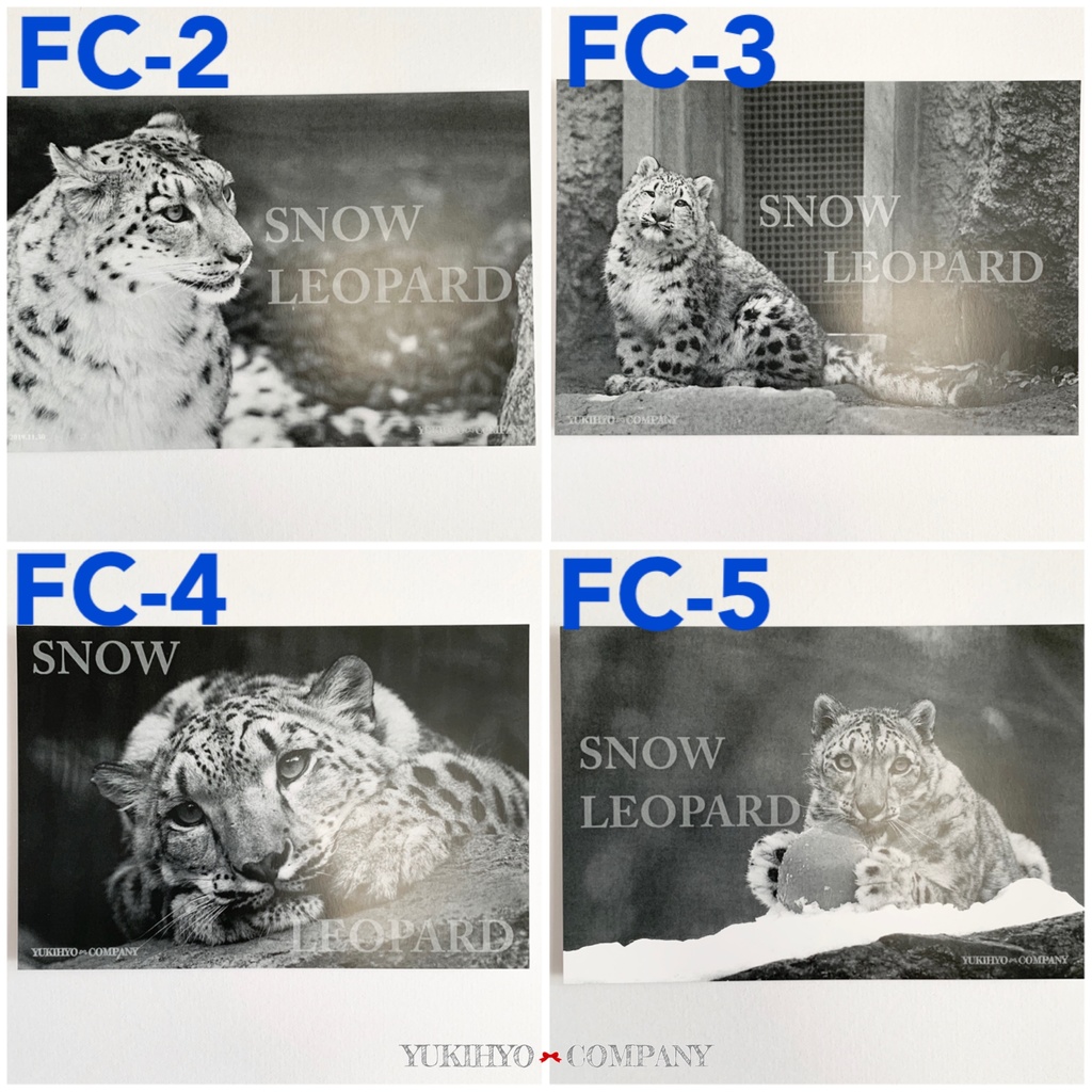 【2/2新作】フォトカード第２弾