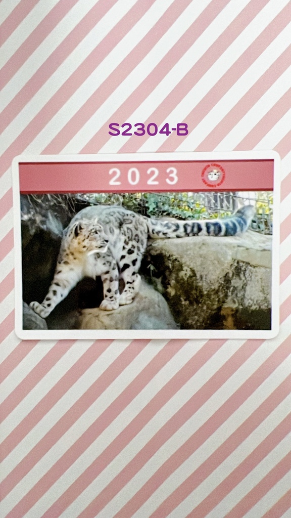 【4周年アニバーサリー】2023年度ユキヒョウステッカー