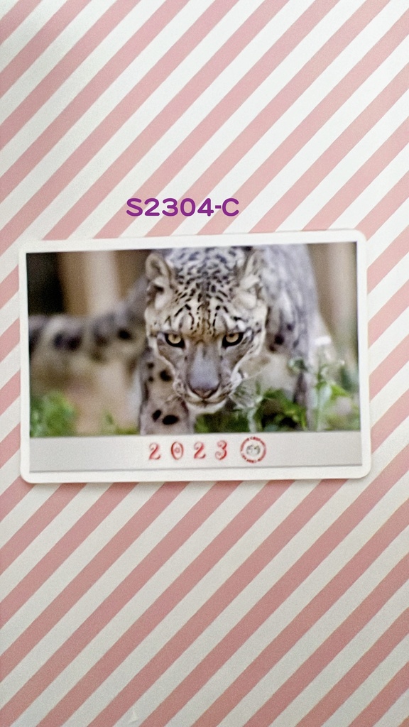 【4周年アニバーサリー】2023年度ユキヒョウステッカー