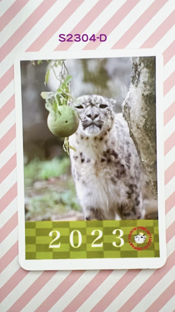 【4周年アニバーサリー】2023年度ユキヒョウステッカー