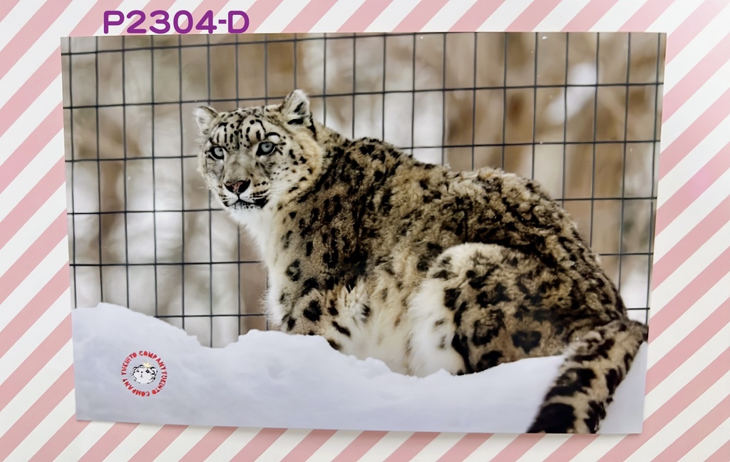 【4周年アニバーサリー】ユキヒョウポストカード