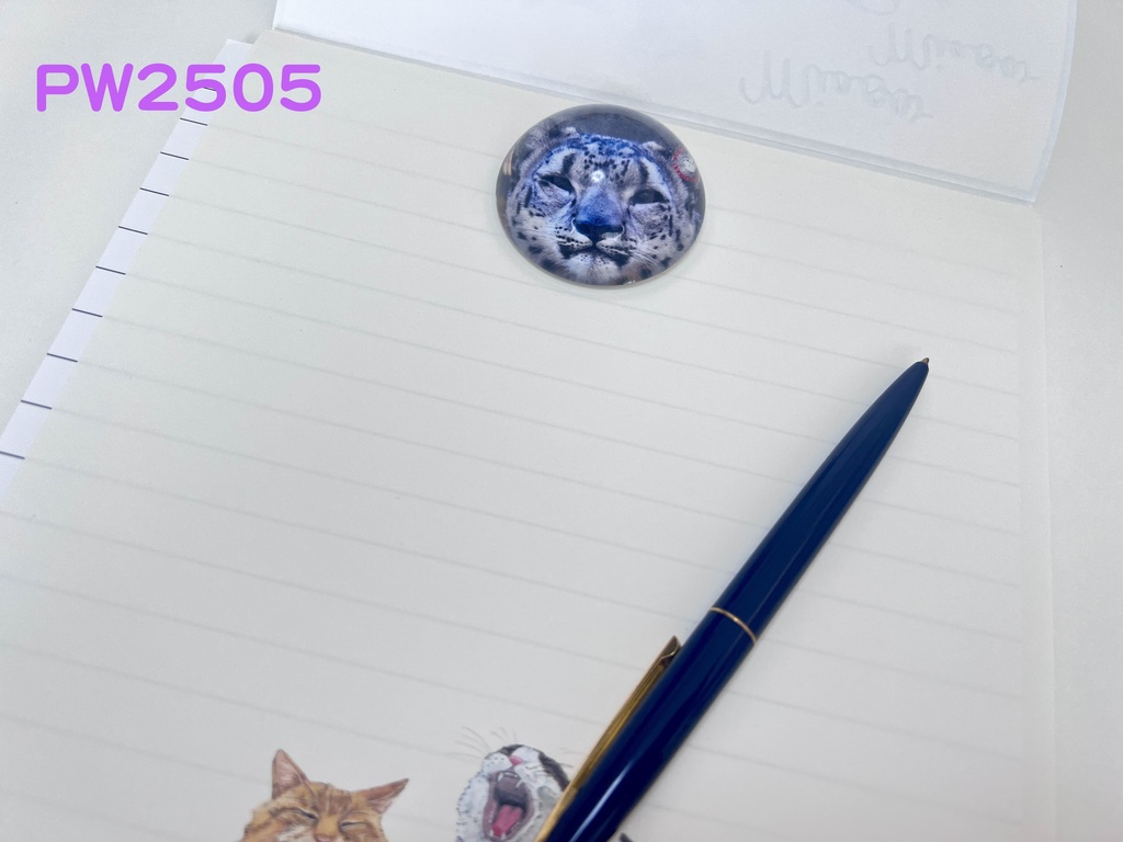 【ぼくちん爆誕祭8】PW2505    ぼくちんの斬新ペーパーウェイト
