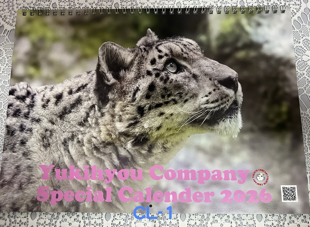 【2025年12月新作】2026カレンダー＜オールスター＞