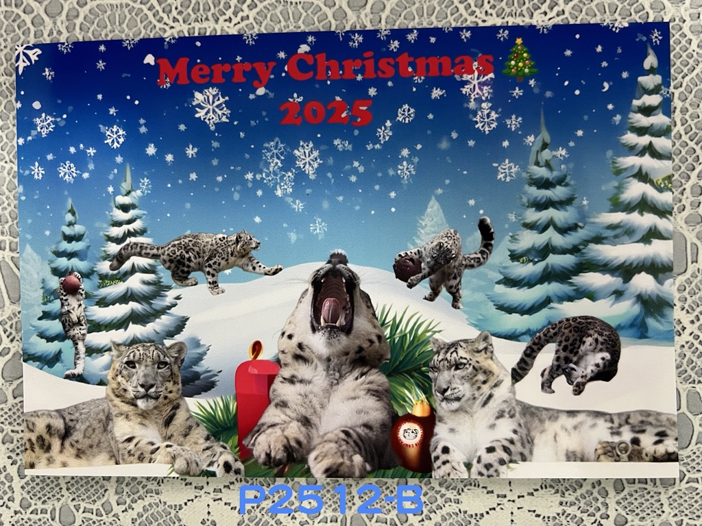 【2025年12月新作】Xmasポストカード3種