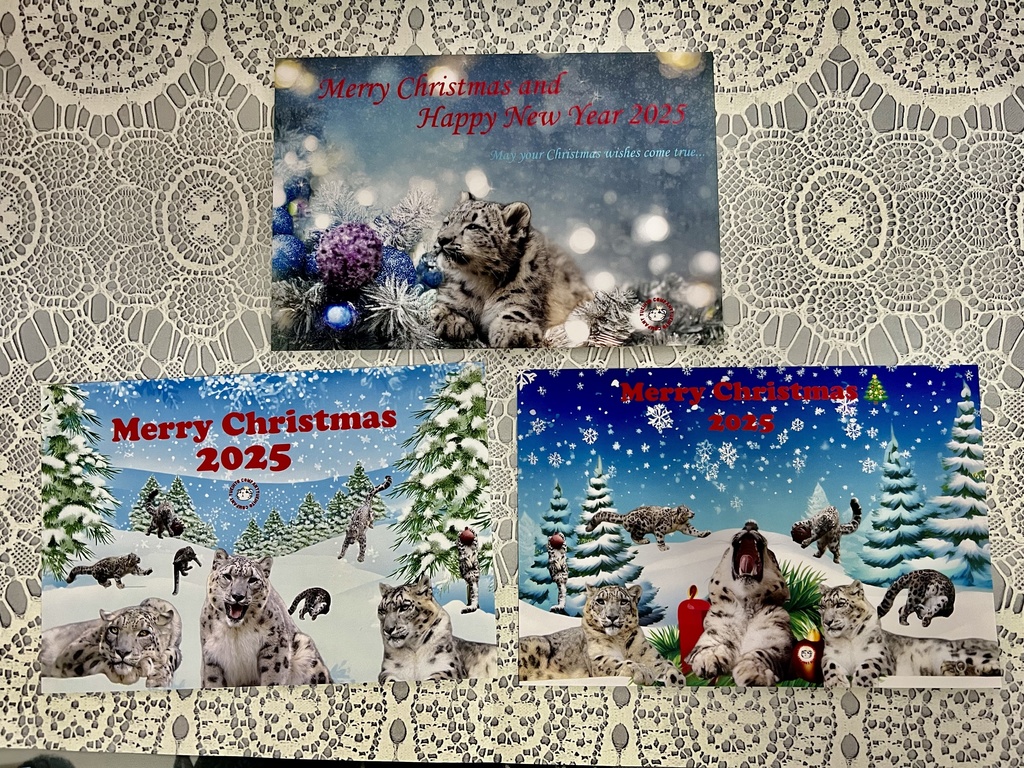 【2025年12月新作】Xmasポストカード3種