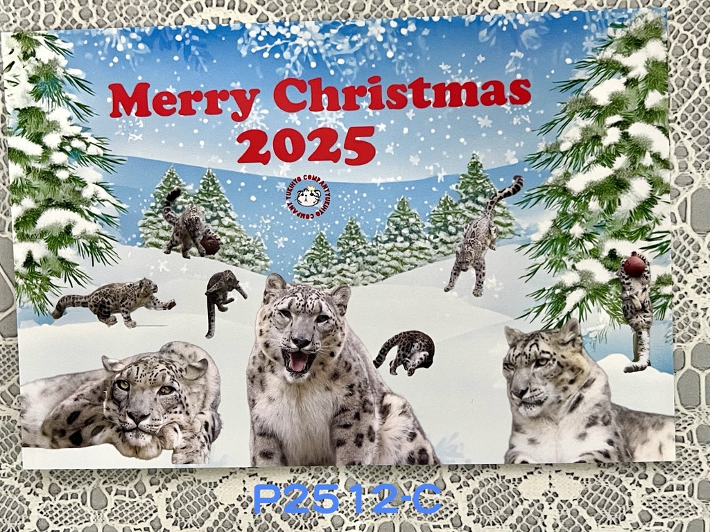 【2025年12月新作】Xmasポストカード3種