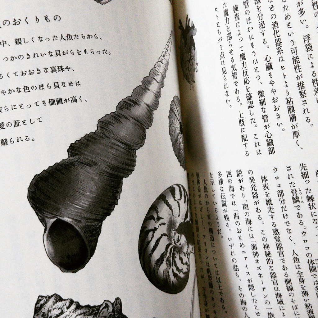 紙版:人魚の聲を聴く/第二版