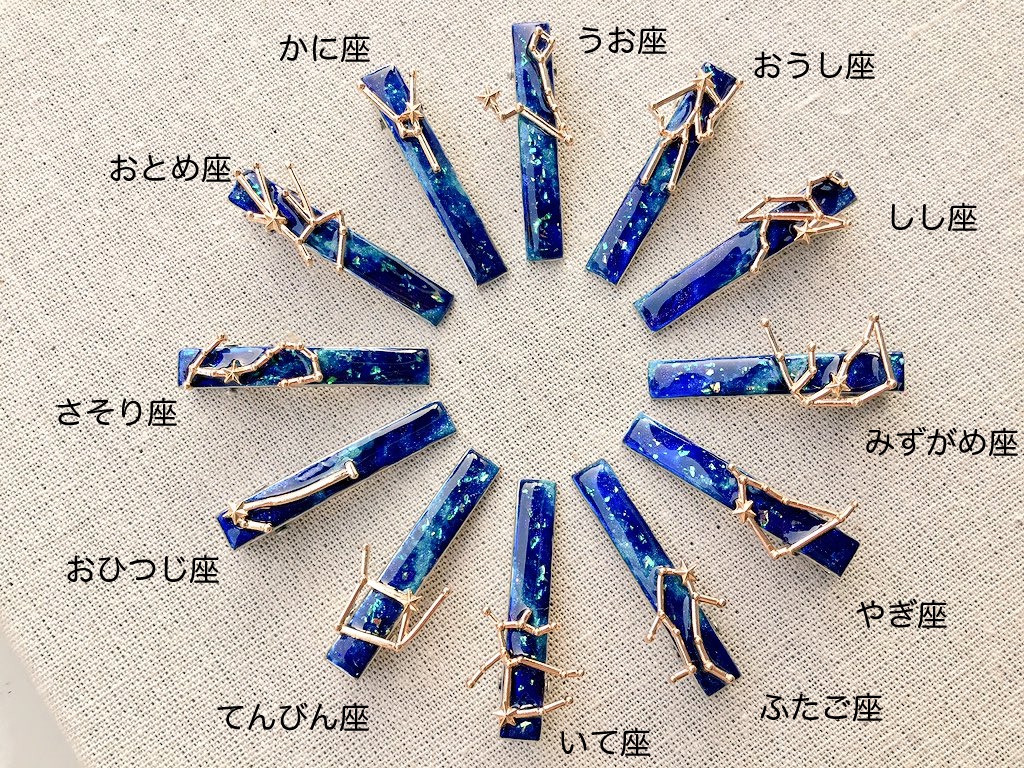 12星座ヘアクリップ