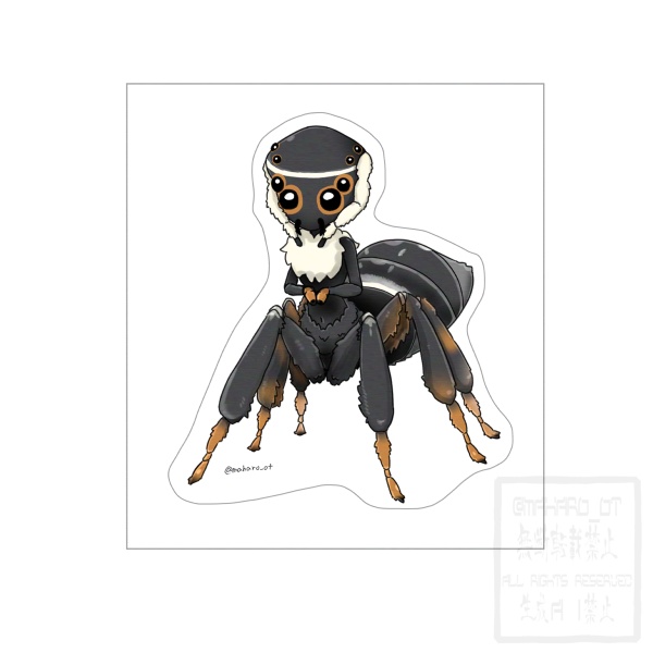 アダンソンハエトリ　擬人化 ステッカー