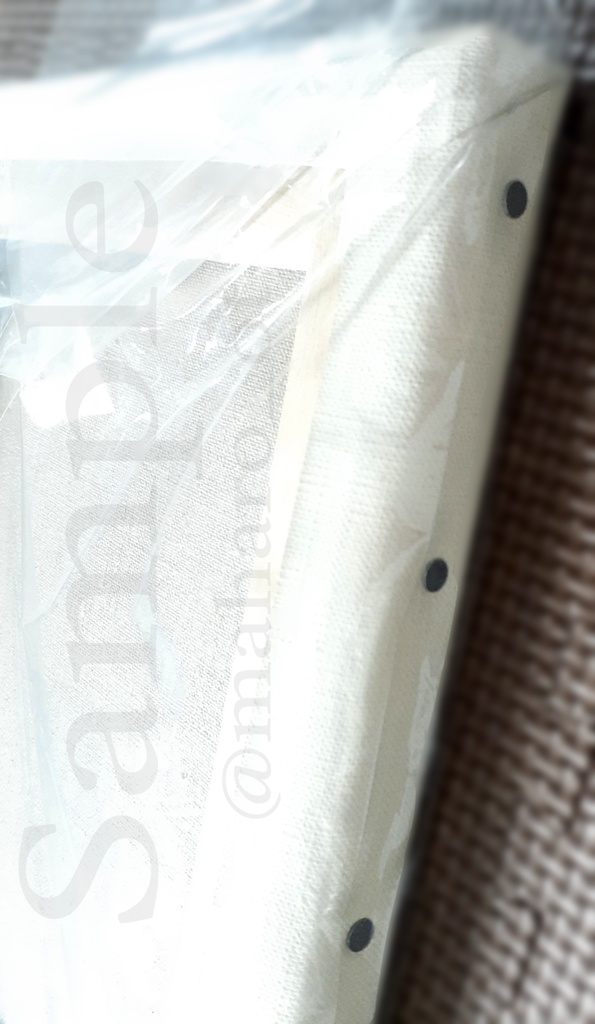 キャンバスプリント① 蛾 擬人化