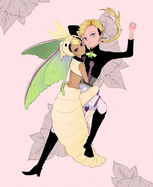 キャンバスプリント①　蛾　擬人化