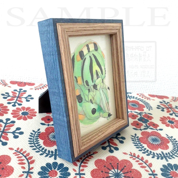 キアゲハ 透明水彩画