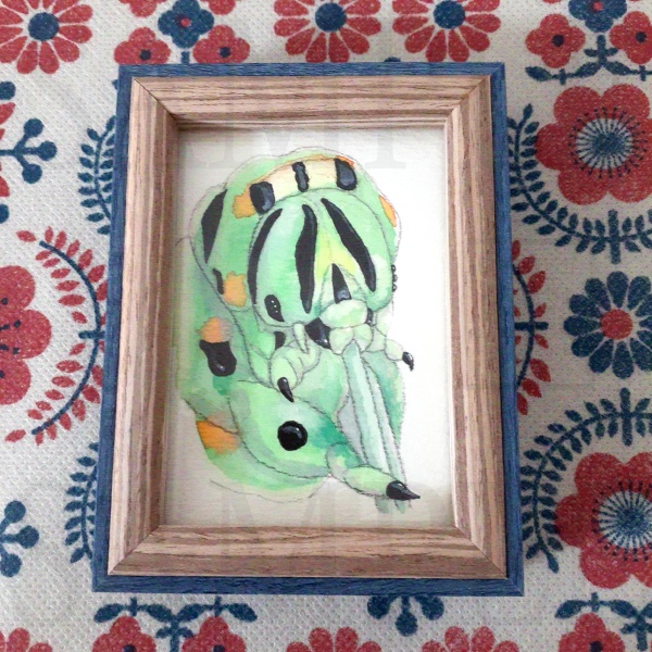 キアゲハ 透明水彩画