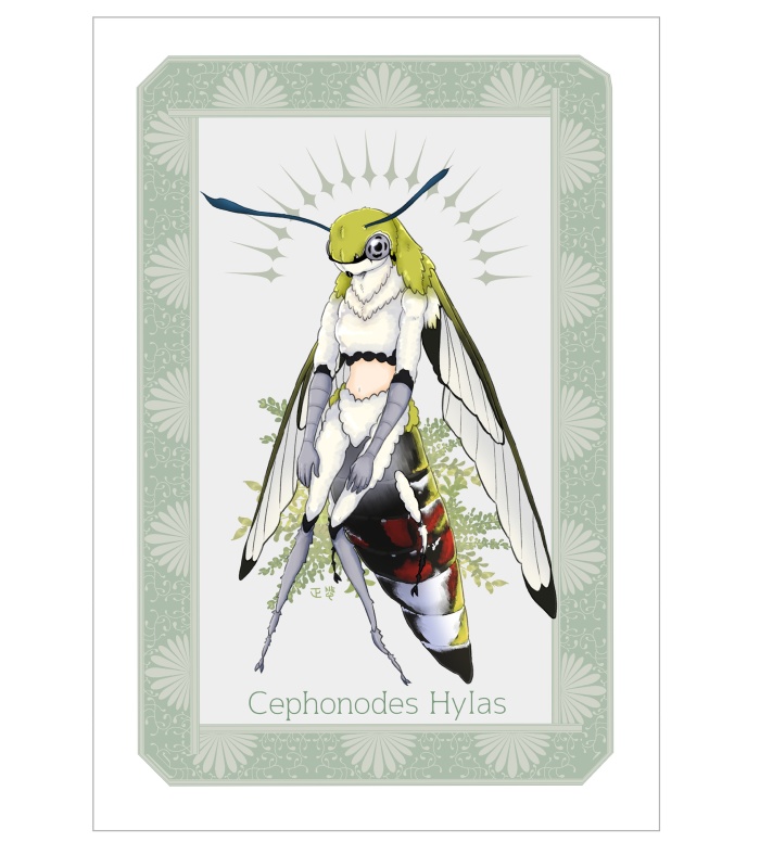 ミニパネル12 オオスカシバ