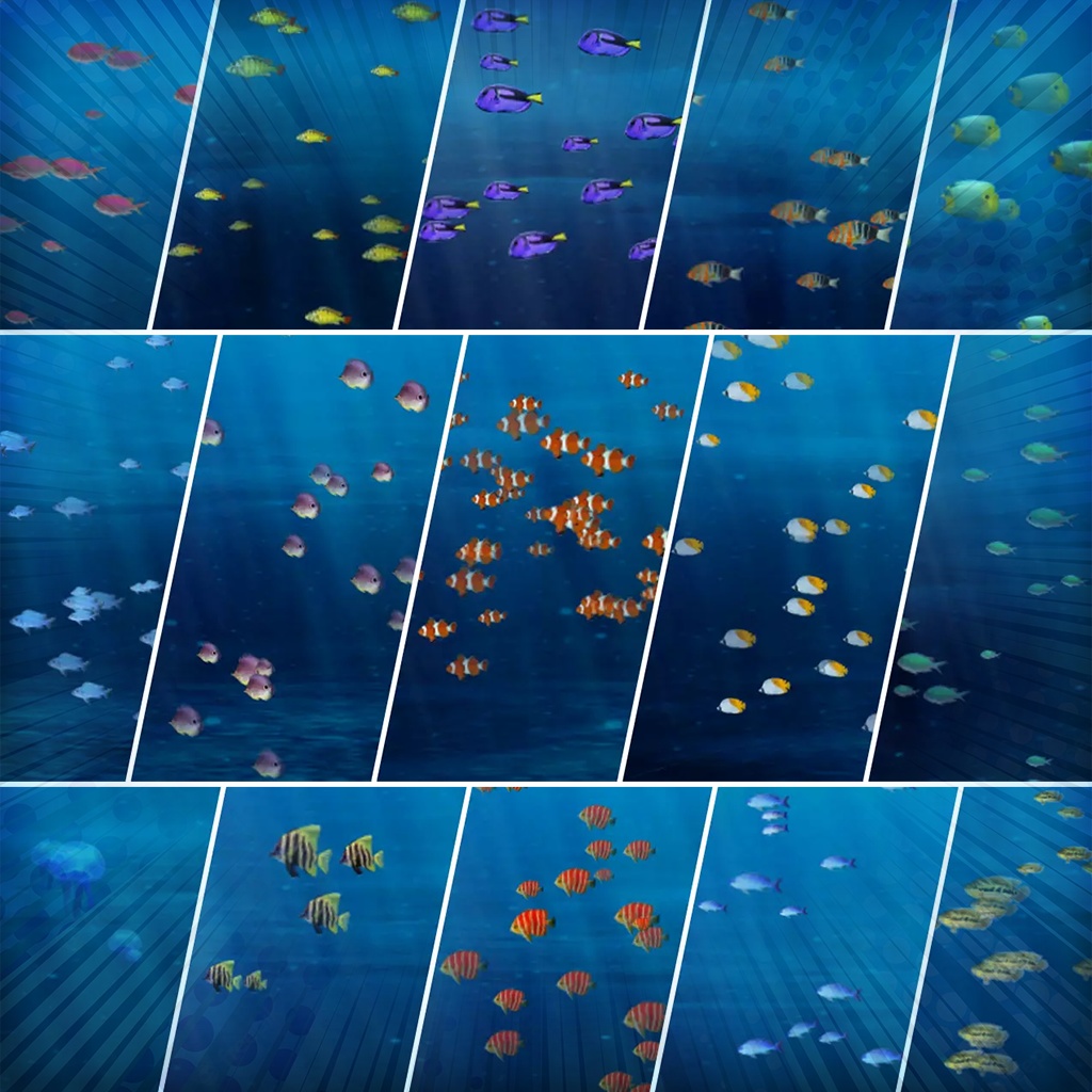 Fish Pack 魚パック