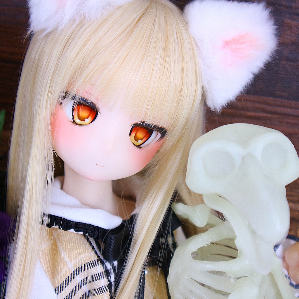 DDH-29 カスタムヘッド セミホワイト肌+ディーラー様製アイ付