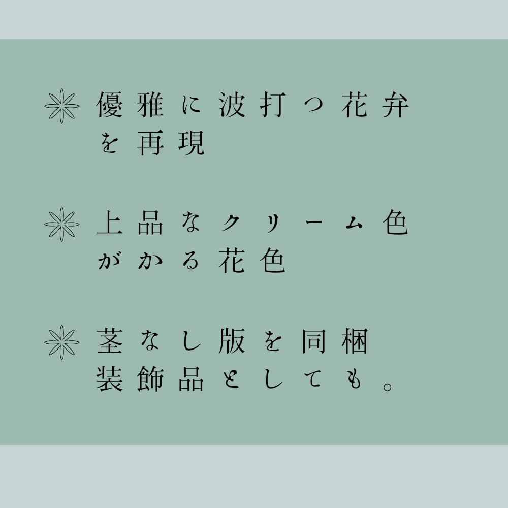 『白薔薇』~薔薇好きが作る薔薇モデル~