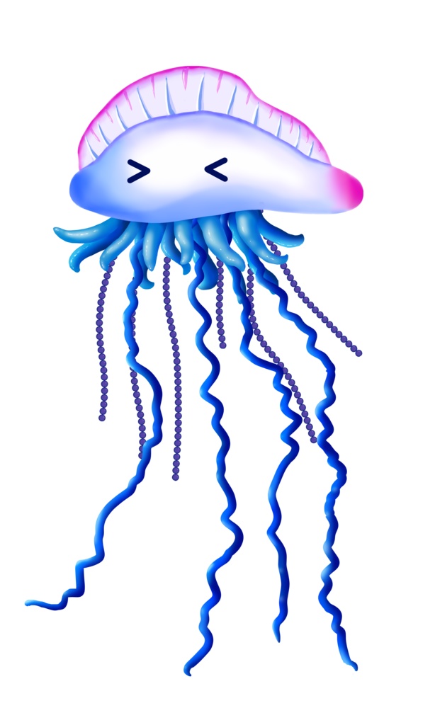 【VTube Studio】カツオノエボシ【汎用モデル】