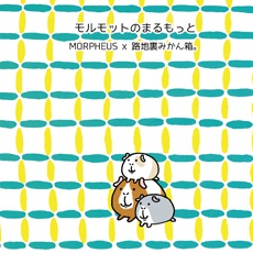 モルモットのまるもっと