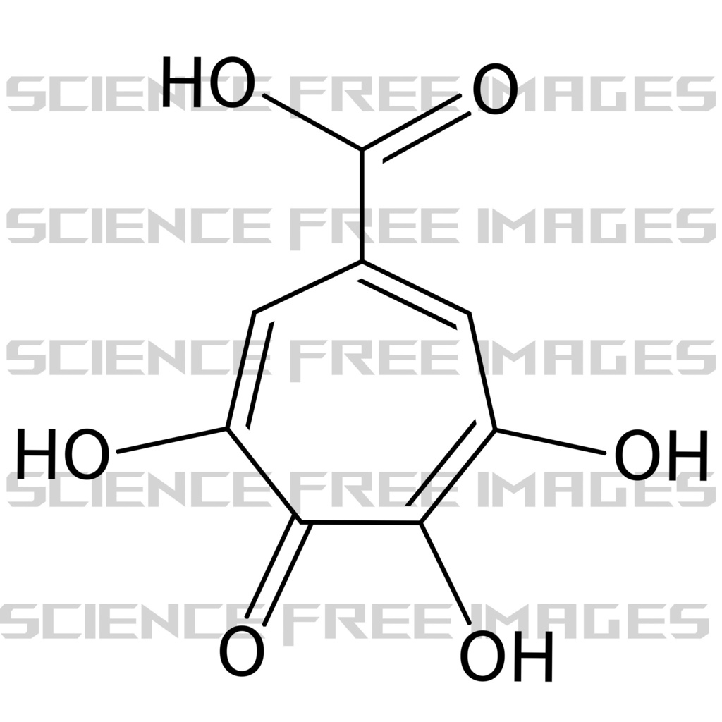 プベルル酸(puberulic acid)　C8H6O6