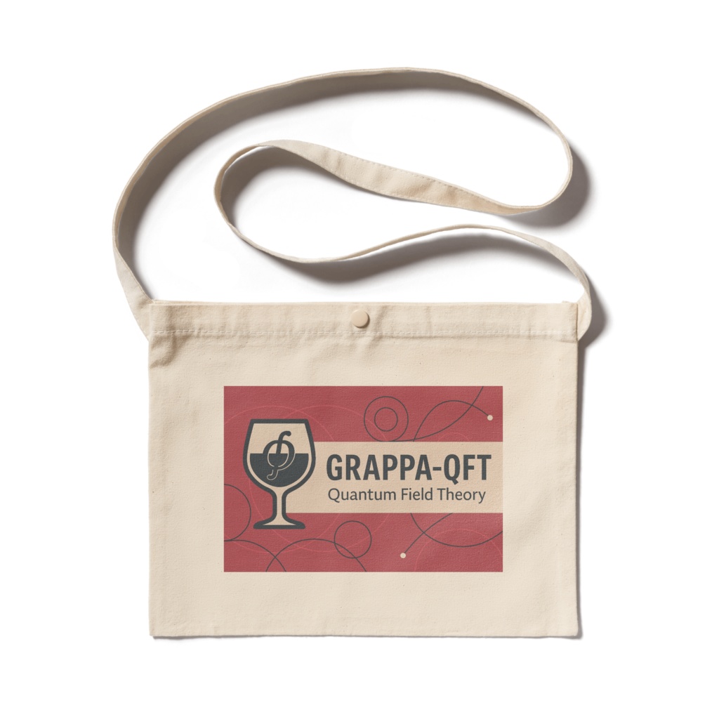 Sacoche: GRAPPA-QFT Seminar Banner