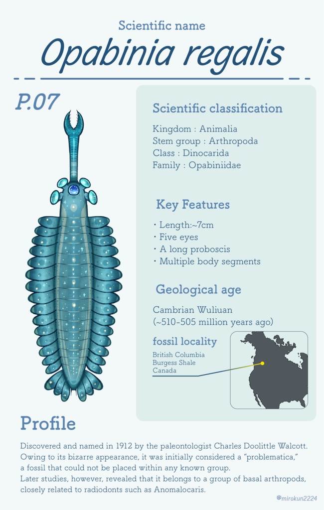Mini Guide to Cambrian Creatures Vol.1