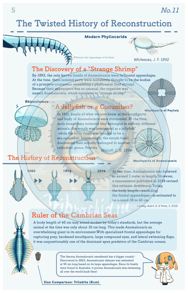 Mini Guide to Cambrian Creatures Vol.2