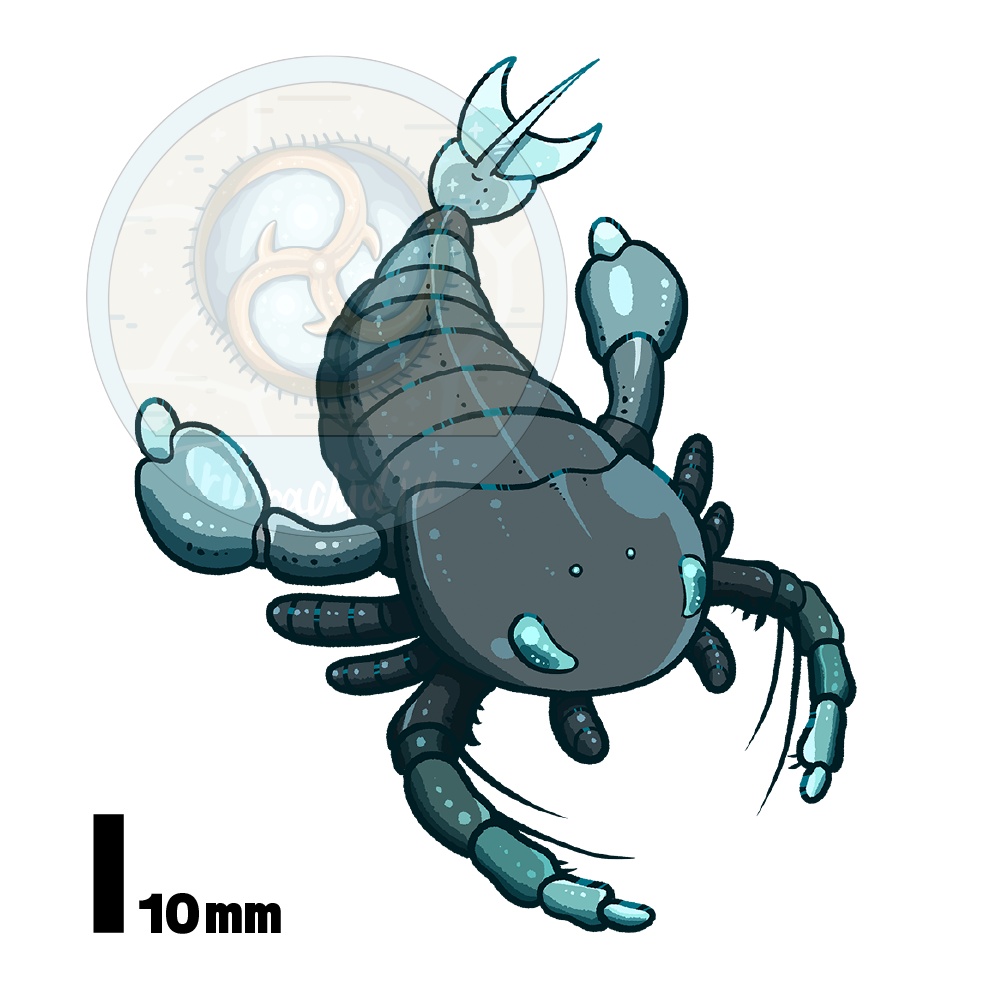 古代生物ステッカー・メガログラプトゥス