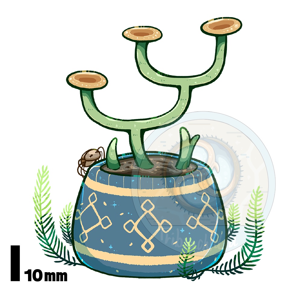 古代生物・クックソニア