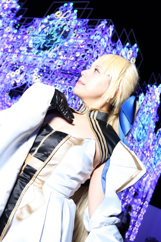 Fate / Grand Order Unofficial Photobook