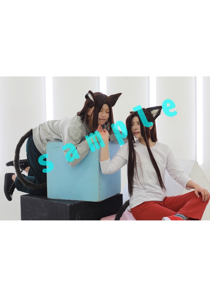 猫とすかじゃん