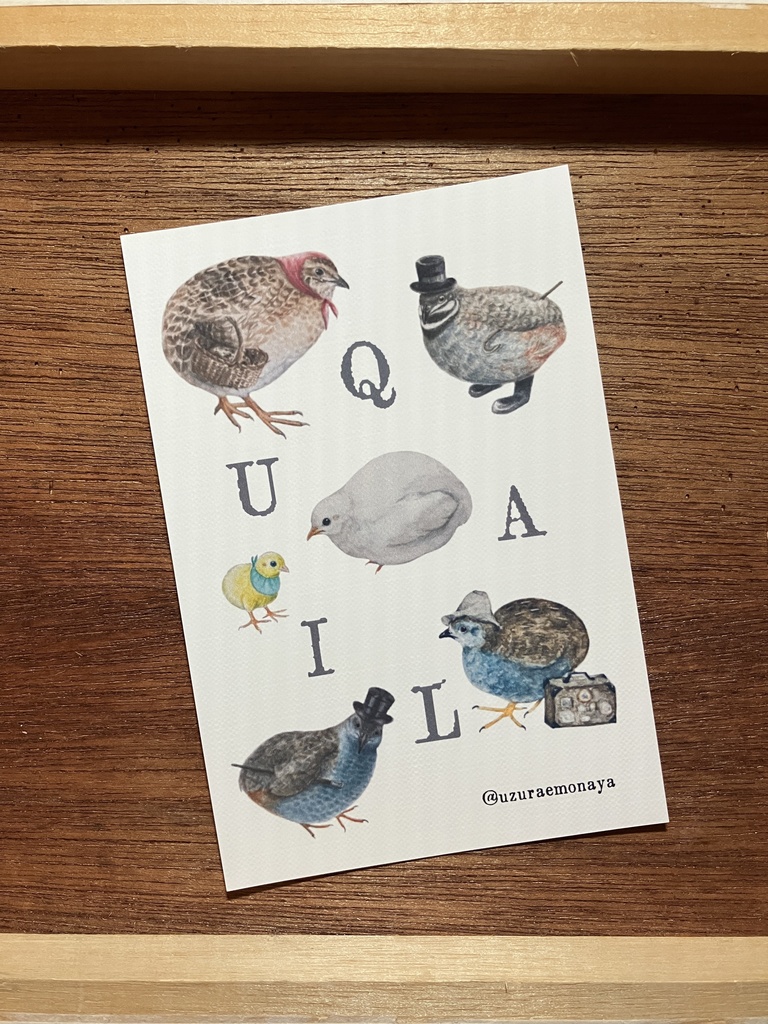 もなやの仲間たち「QUAIL」／ポストカード