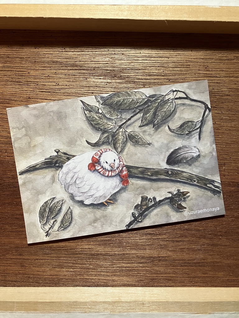 冬の白姫／ポストカード