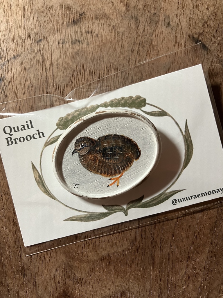 Quail Brooch-No.5／うづら絵原画ブローチ
