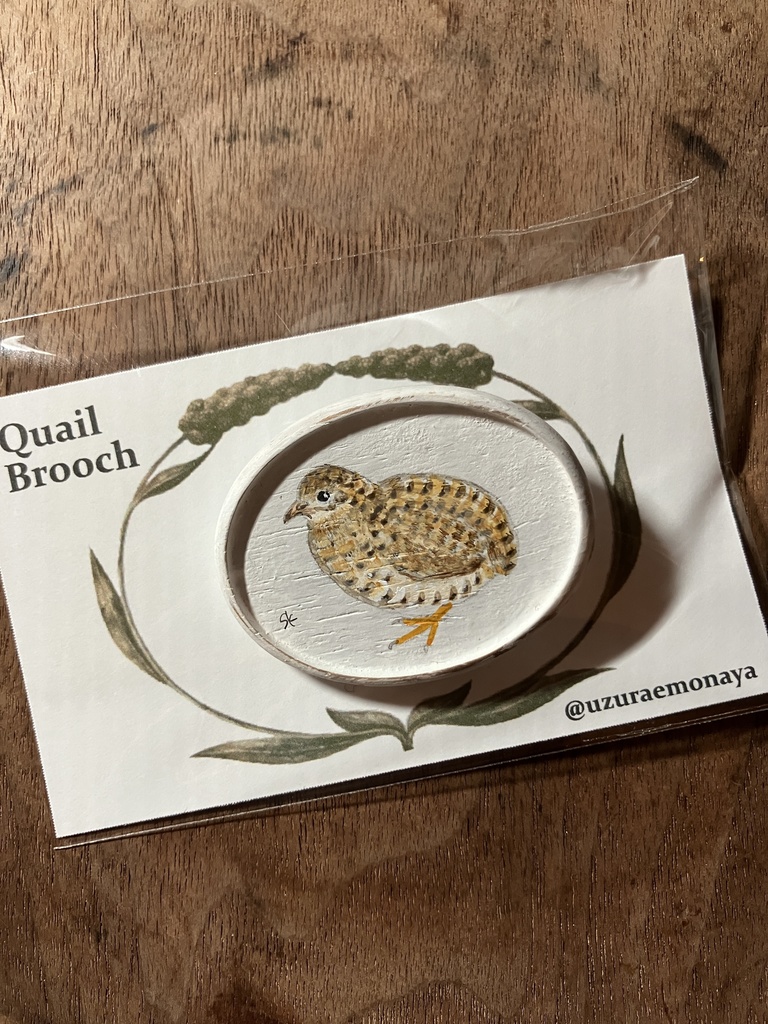 Quail Brooch-No.10/うづら絵原画ブローチ