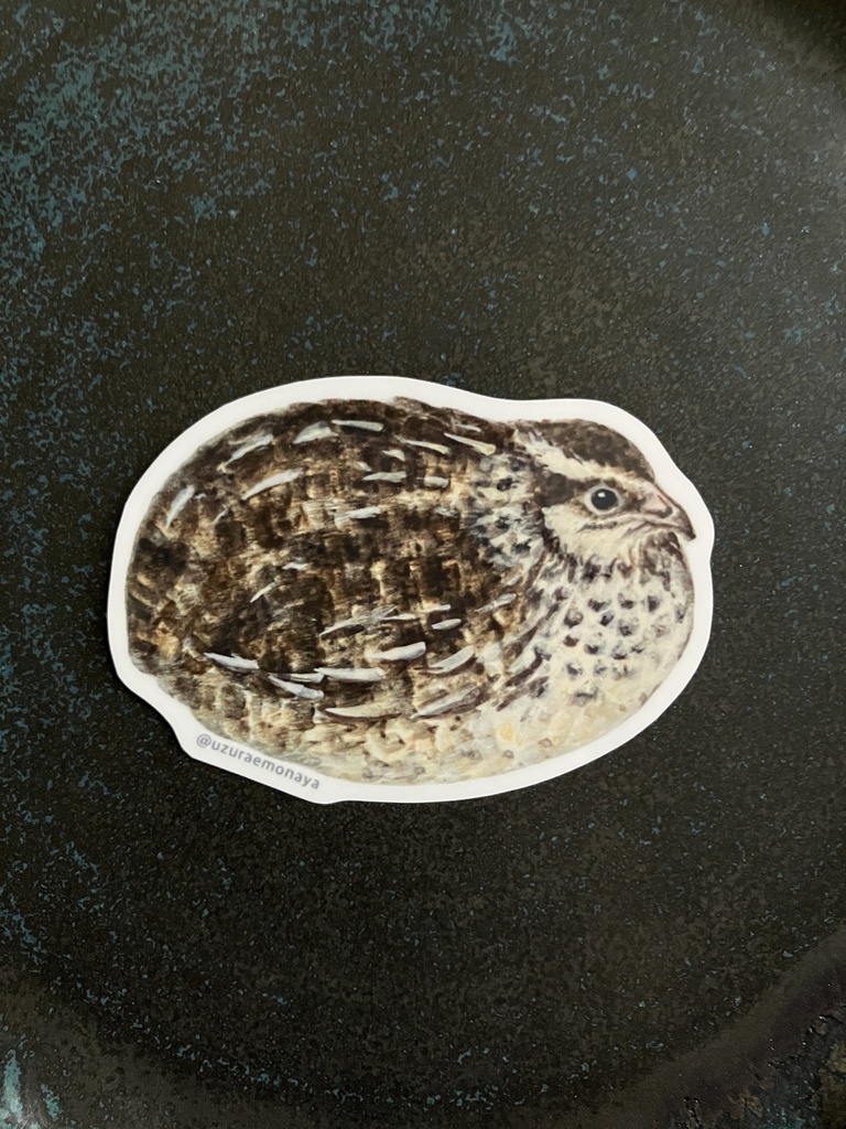 うづら絵ステッカー／鶉箱絵-No.2