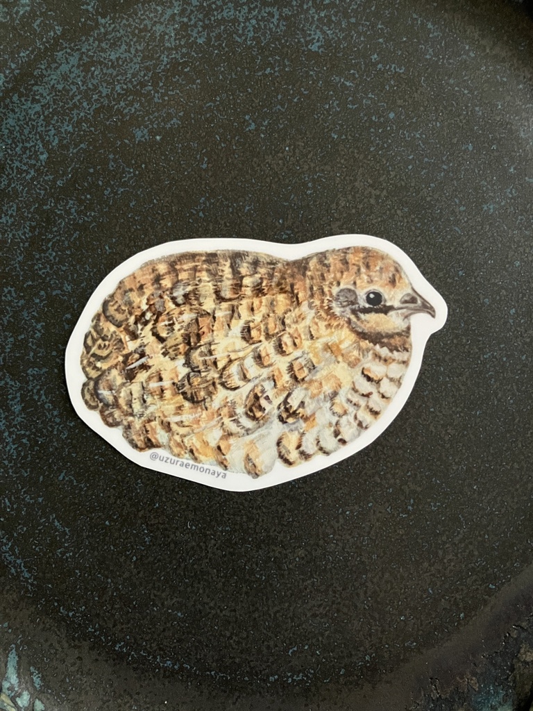 うづら絵ステッカー／鶉箱絵-No5