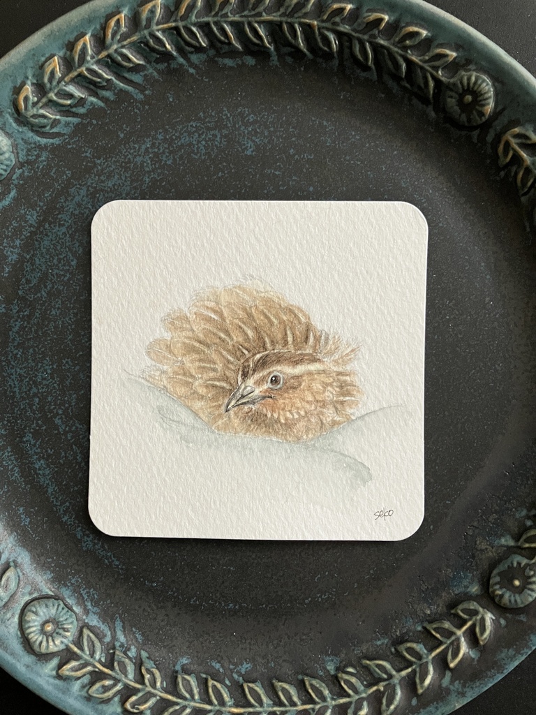 wakako8610様【うずらスケッチ】ずぅちゃん原画販売