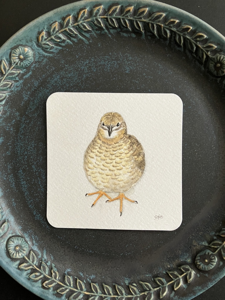 うずらちゃん様【うずらスケッチ】とらちゃん原画販売