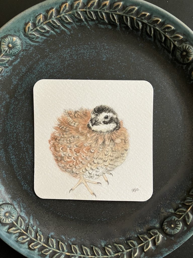 Fringed iris様【うずらスケッチ】琥珀ちゃん原画販売