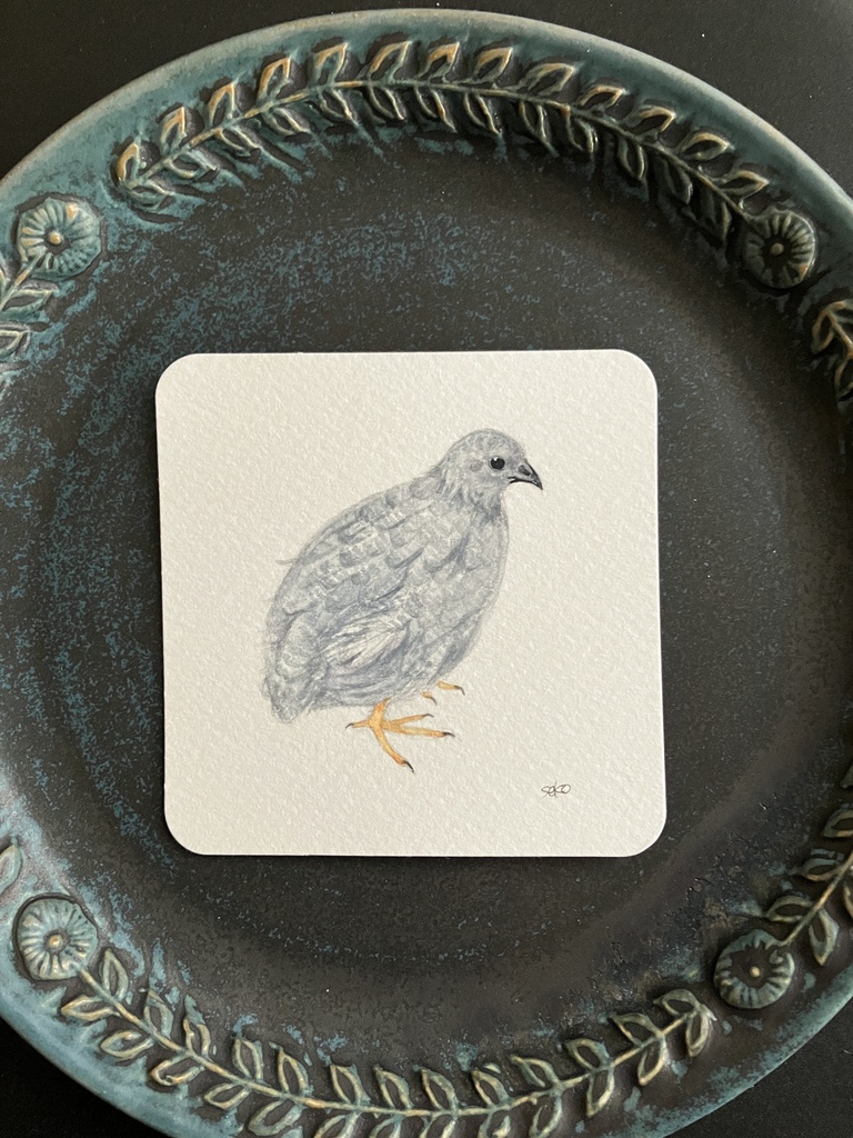 月暁様【うずらスケッチ】ひめたん＆女子と彼女(彼氏)原画販売