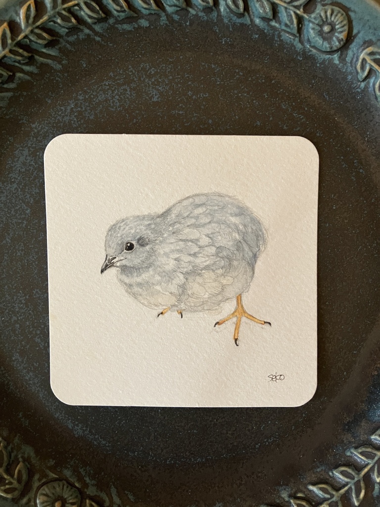 zero様【うずらスケッチ】グレースちゃん原画販売