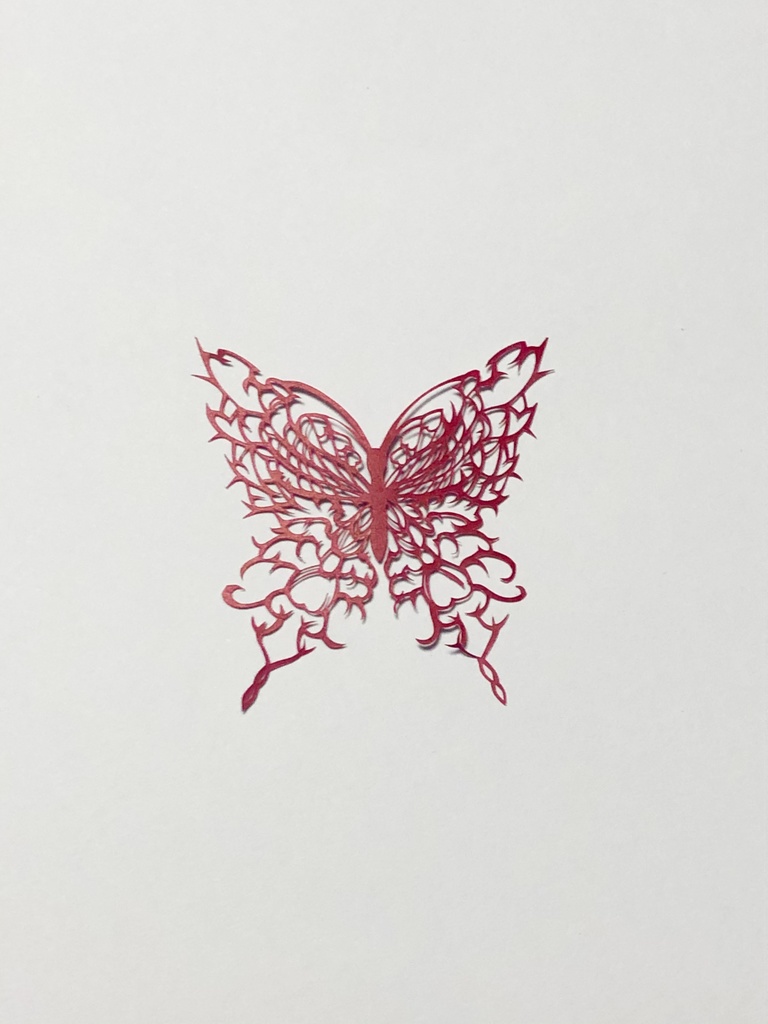 切り絵原画・棘の蝶(額なし、10角)