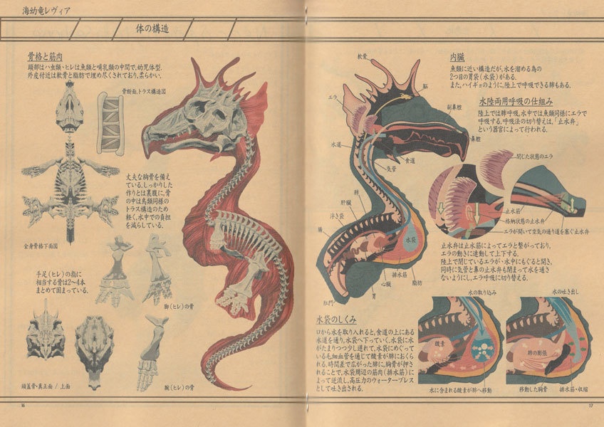 ※生産停止中※竜の博物誌・起源鱗式ドラゴン体系Ⅰ