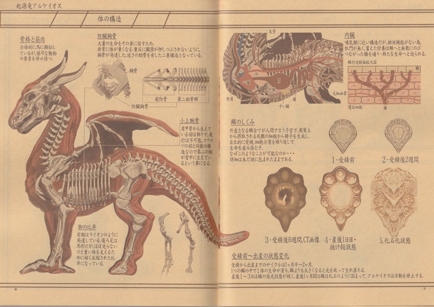 ※生産停止中※竜の博物誌・起源鱗式ドラゴン体系Ⅰ