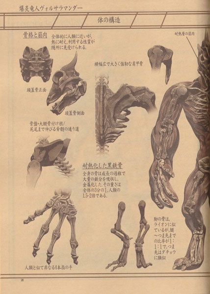 ※生産停止中※竜の博物誌・起源鱗式ドラゴン体系Ⅰ