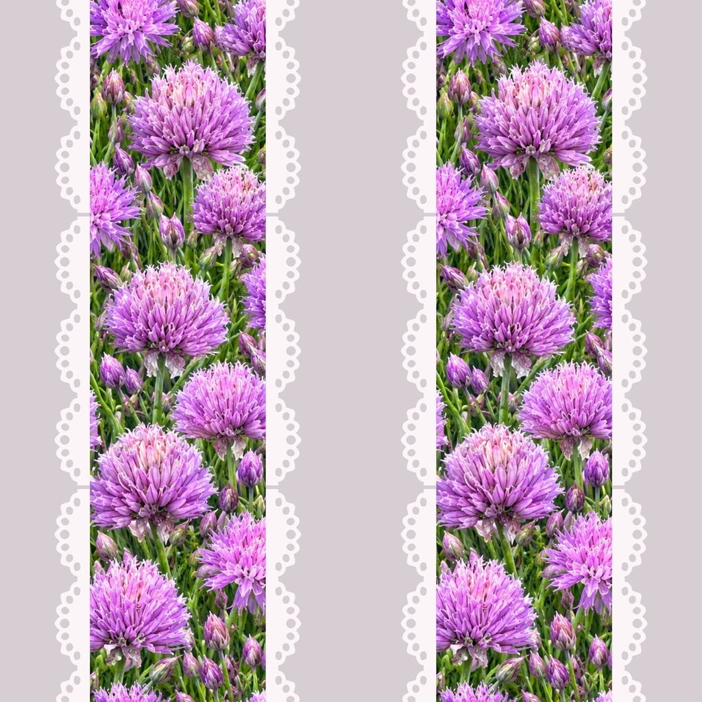 紫の花のシームレスペーパー 9枚セット|実写ベース 商用OK クレマチス パンジー 花柄 素材自分で撮影した花の写真から作った、紫の花のシームレスペーパー 9枚セットです💜 クレマチス、パンジー、ラベンダー、ひなげし、宝石柄など、 上品で華やかな紫で揃えたバリエーション。 密な柄から余白のある柄まで、組み合わせて使えます。 くり返し敷き詰められるシームレス仕様です。